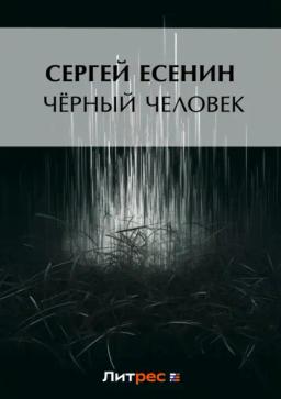 Обложка книги «Черный человек»
