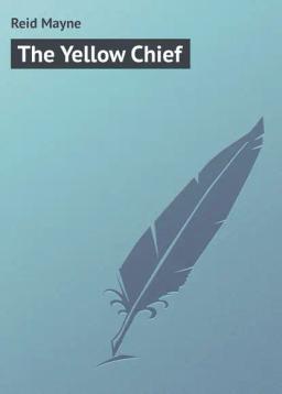 Обложка книги «The Yellow Chief»