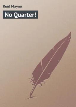 Обложка книги «No Quarter!»