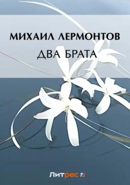 Обложка книги «Два брата»