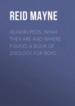 Обложка книги «Quadrupeds, What They Are and Where Found: A Book of Zoology for Boys»