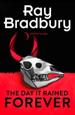 Обложка книги «The Day it Rained Forever»