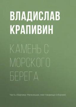 Обложка книги «Камень с морского берега»