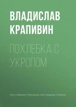 Обложка книги «Похлебка с укропом»