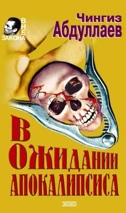 Обложка книги «В ожидании апокалипсиса»