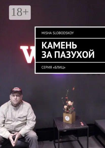 Камень за пазухой. Серия «Блиц»