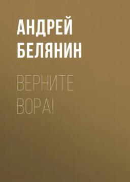 Обложка книги «Верните вора!»
