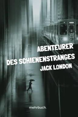 Обложка книги «Abenteurer des Schienenstranges»
