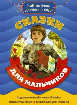 Обложка книги «Сказки для мальчиков»