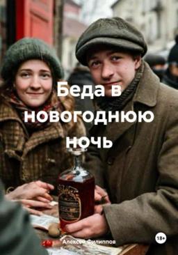 Обложка книги «Беда в новогоднюю ночь»