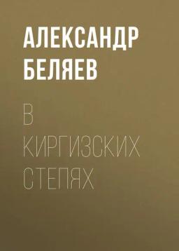 Обложка книги «В киргизских степях»