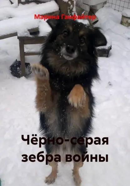 Чёрно-серая зебра войны