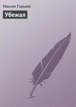Обложка книги «Убежал»