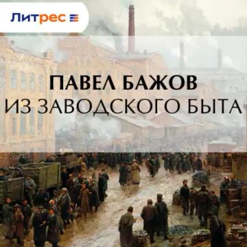 Обложка аудиокниги «Из заводского быта»