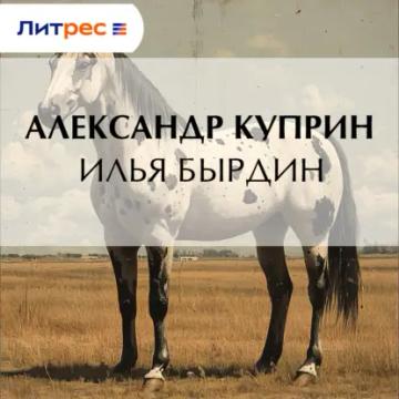 Обложка аудиокниги «Илья Бырдин»