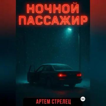 Обложка аудиокниги «Ночной пассажир»