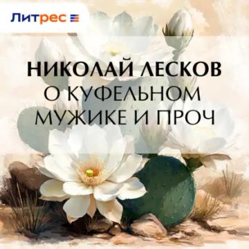 Обложка аудиокниги «О куфельном мужике и проч.»