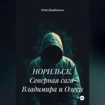 Обложка аудиокниги «НОРИЛЬСК. Северная сага Владимира и Олеси»