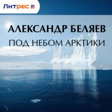 Обложка аудиокниги «Под небом Арктики»