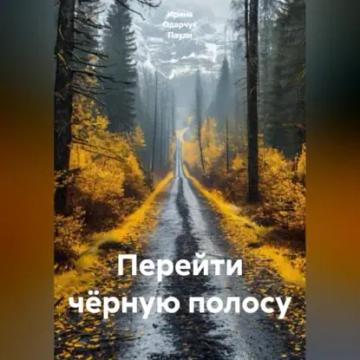 Обложка аудиокниги «Перейти чёрную полосу»