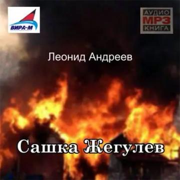 Обложка аудиокниги «Сашка Жегулев»