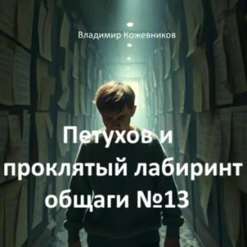 Обложка аудиокниги «Петухов и проклятый лабиринт общаги 13»