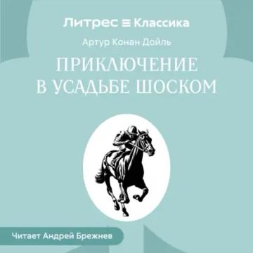Обложка аудиокниги «Приключение в усадьбе Шоском»