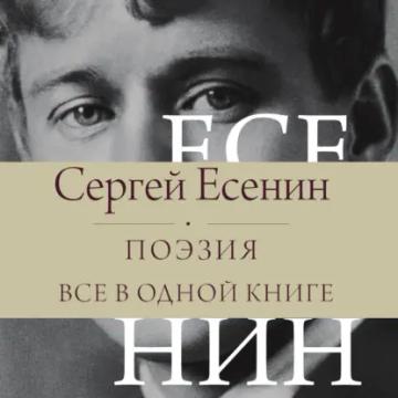 Обложка аудиокниги «Поэзия. Все в одной книге»