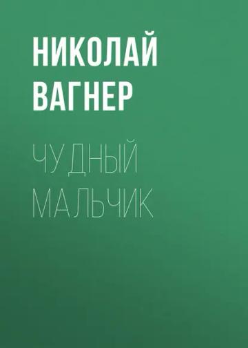 Обложка аудиокниги «Чудный мальчик»