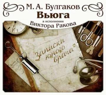 Обложка аудиокниги «Вьюга»