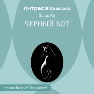 Обложка аудиокниги «Черный Кот»