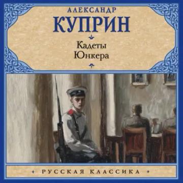 Обложка аудиокниги «Кадеты. Юнкера»