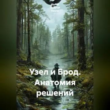 Обложка аудиокниги «Узел и Брод. Анатомия решений»
