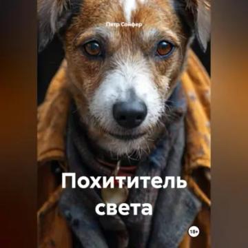 Обложка аудиокниги «Похититель света»