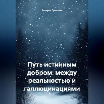 Обложка аудиокниги «Путь истинным добром: между реальностью и галлюцинациями»