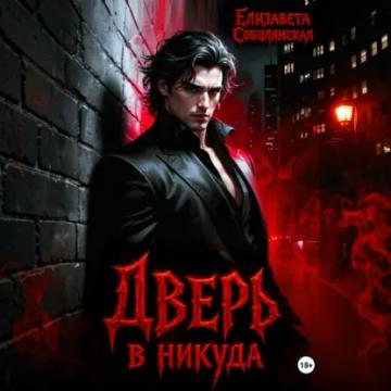 Обложка аудиокниги «Дверь в никуда»