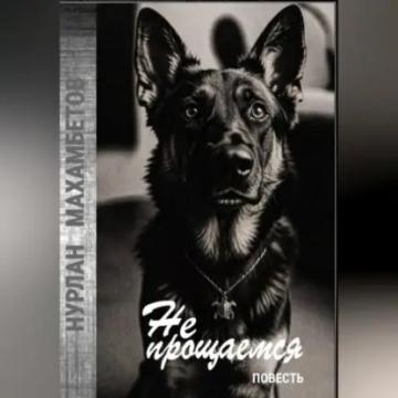 Обложка аудиокниги «Не прощаемся»