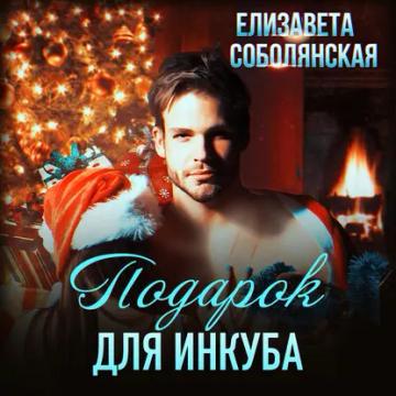 Обложка аудиокниги «Подарок для инкуба»