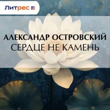 Обложка аудиокниги «Сердце не камень»