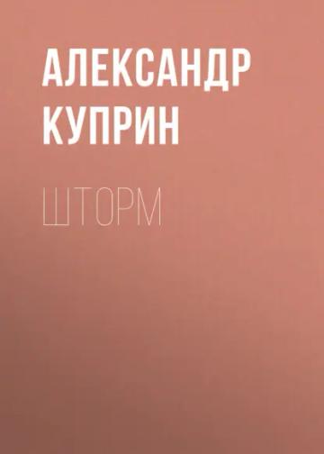Обложка аудиокниги «Шторм»