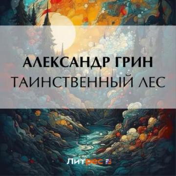 Обложка аудиокниги «Таинственный лес»