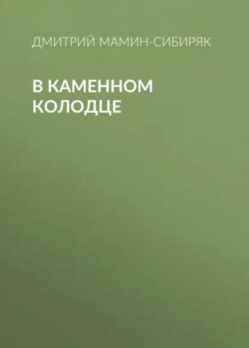 Обложка аудиокниги «В каменном колодце»