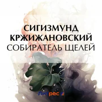 Обложка аудиокниги «Собиратель щелей»