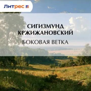 Обложка аудиокниги «Боковая ветка»