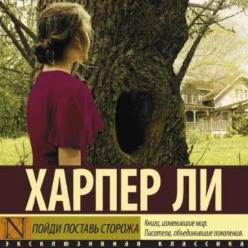 Обложка аудиокниги «Пойди поставь сторожа»