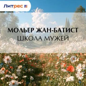 Обложка аудиокниги «Школа мужей»