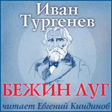 Обложка аудиокниги «Бежин луг»