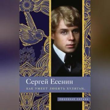 Обложка аудиокниги «Как умеет любить хулиган…»