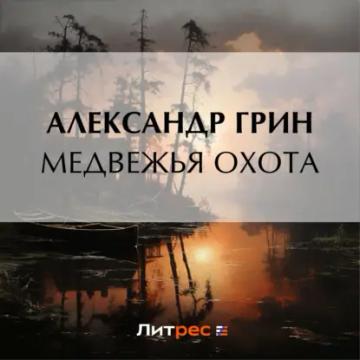 Обложка аудиокниги «Медвежья охота»