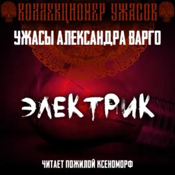 Обложка аудиокниги «Электрик»